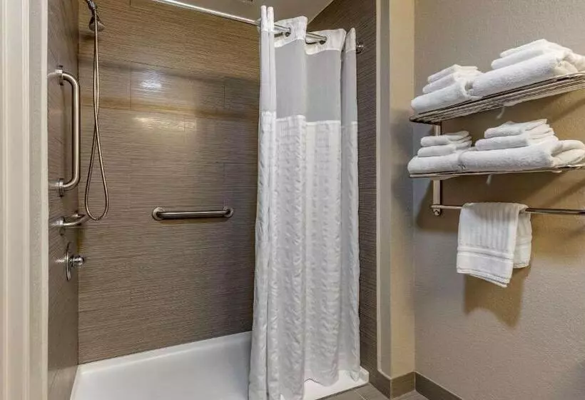 キングサイズベッドのスイートルーム, Comfort Suites Pineville  Ballantyne Area