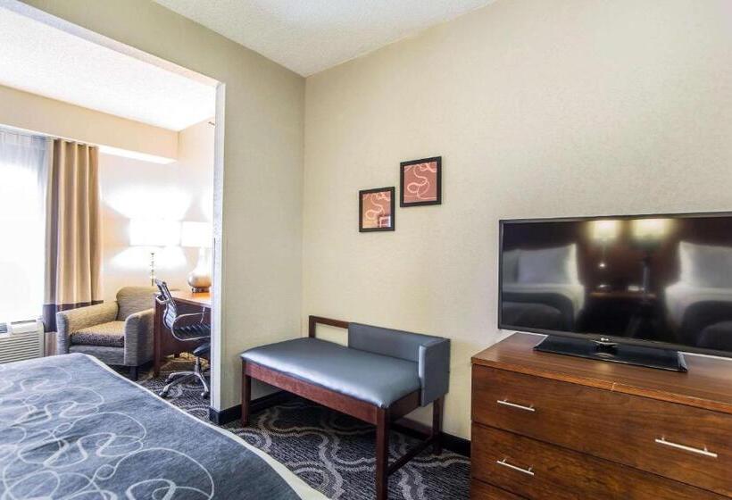 Люкс, Comfort Suites Pineville  Ballantyne Area