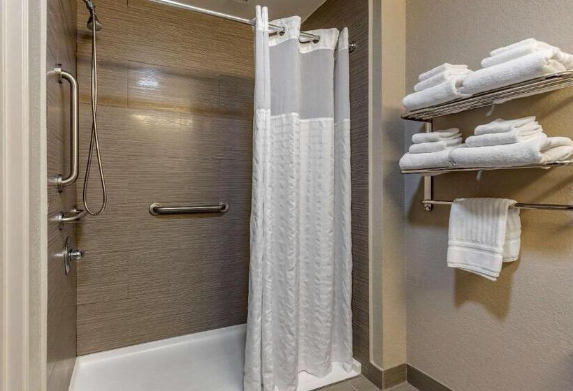 Люкс Адаптированный для Инвалидов, Comfort Suites Pineville  Ballantyne Area
