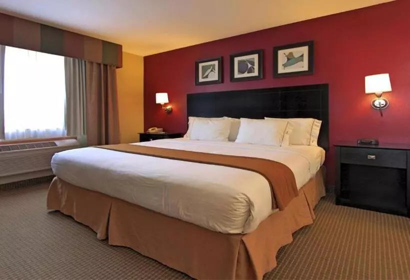 Standard-huone King-vuode, Holiday Inn Express Hotel & Suites Defiance, An Ihg