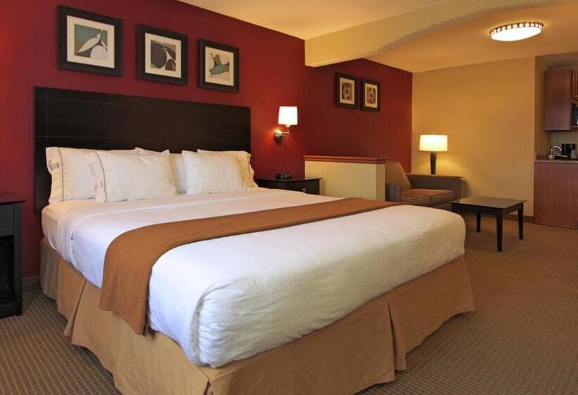 غرفة قياسية سرير كينج, Holiday Inn Express Hotel & Suites Defiance, An Ihg