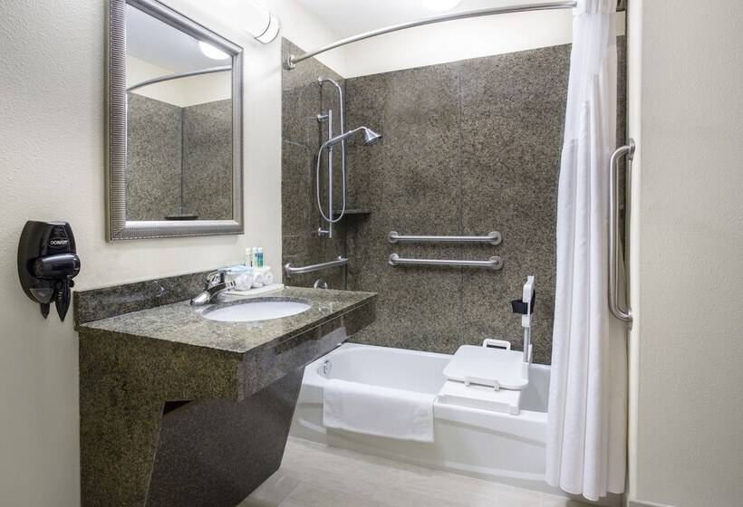 غرفة قياسية لذوى الاحتياجات الخاصة, Holiday Inn Express Hotel & Suites Pauls Valley By Ihg