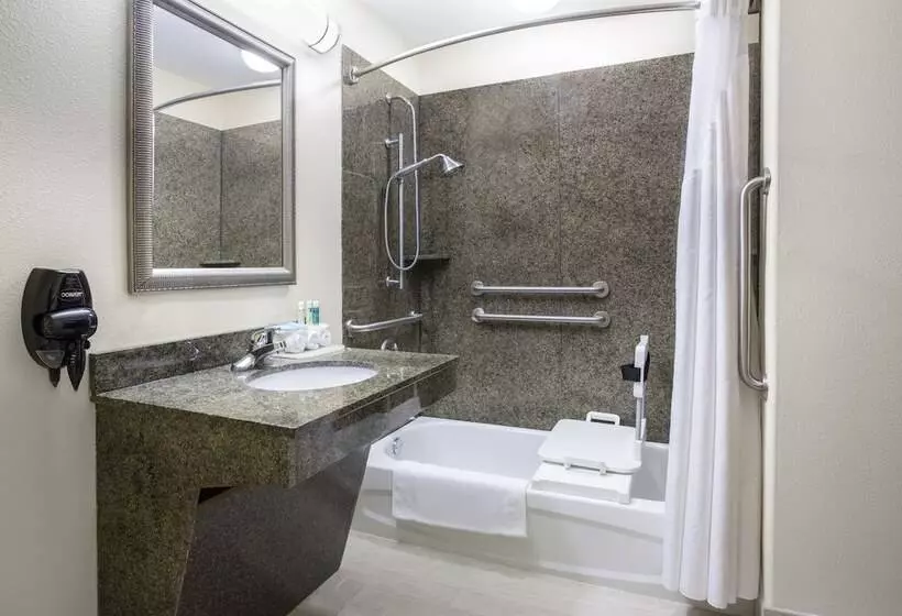 身障者適用スタンダードルーム, Holiday Inn Express Hotel & Suites Pauls Valley By Ihg