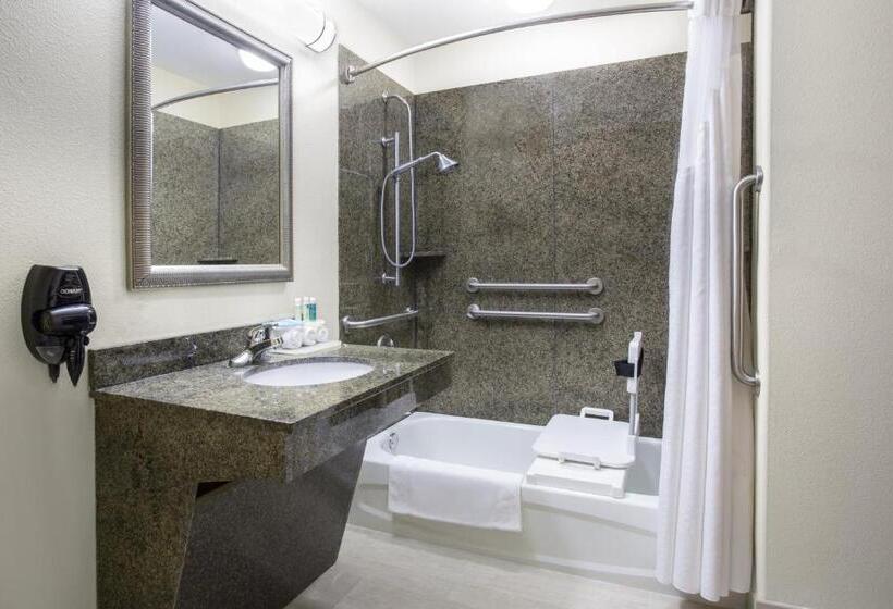 جناح لذوى الاحتياجات الخاصة, Holiday Inn Express Hotel & Suites Pauls Valley By Ihg