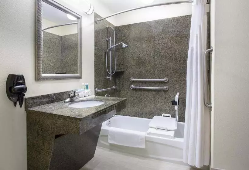 身障者適用キングサイズベッドルーム, Holiday Inn Express Hotel & Suites Pauls Valley By Ihg