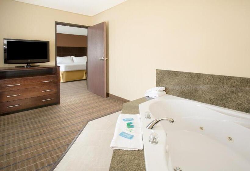 장애인을 위한 스위트, Holiday Inn Express Hotel & Suites Pauls Valley By Ihg
