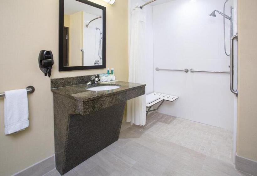 جناح لذوى الاحتياجات الخاصة, Holiday Inn Express Hotel & Suites Pauls Valley By Ihg