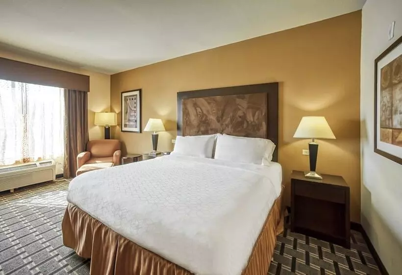 スイート, Holiday Inn Express Suites Beeville By Ihg