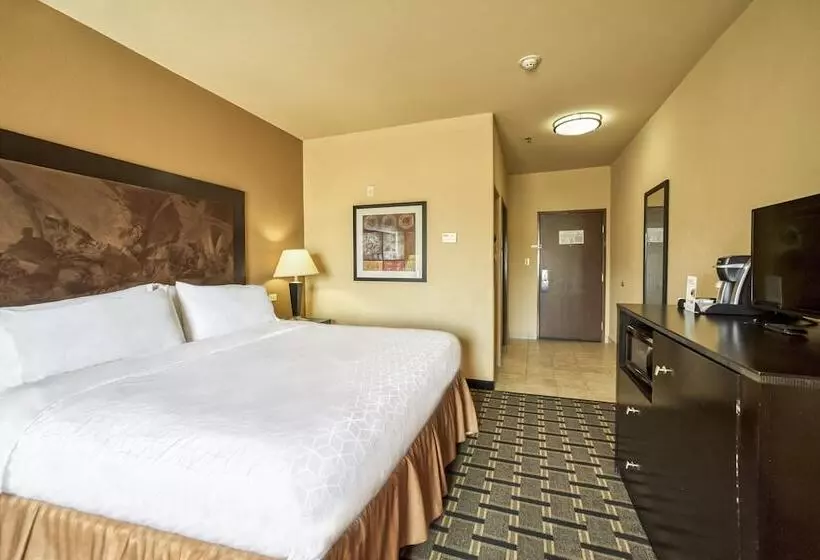 スタンダードルーム, Holiday Inn Express Suites Beeville By Ihg