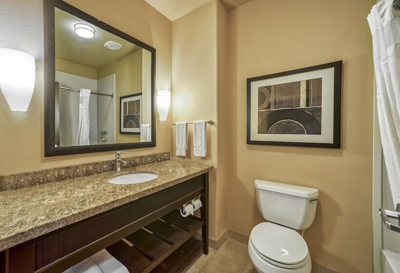 סוויטה מותאמת לאדם עם מוגבלויות, Holiday Inn Express Suites Beeville By Ihg