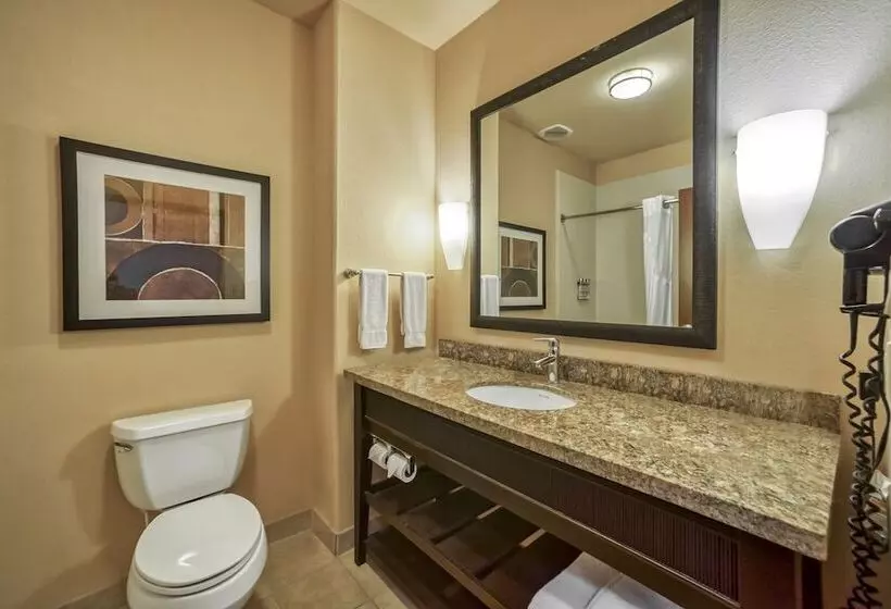 身障者適用スイートルーム, Holiday Inn Express Suites Beeville By Ihg