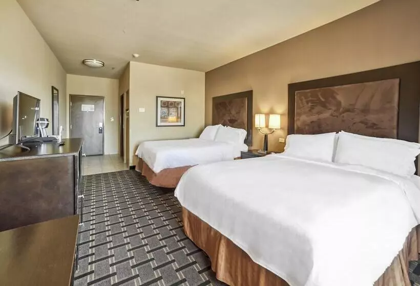 身障者適用スイートルーム, Holiday Inn Express Suites Beeville By Ihg