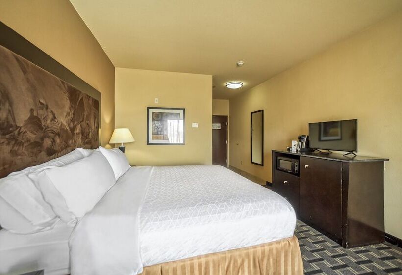 장애인을 위한 스위트, Holiday Inn Express Suites Beeville By Ihg