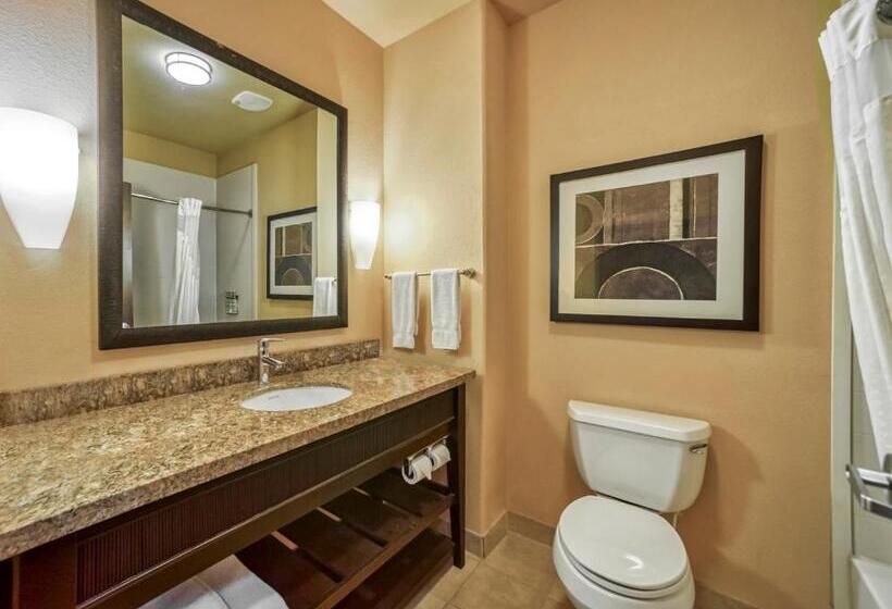 סוויטה, Holiday Inn Express Suites Beeville By Ihg