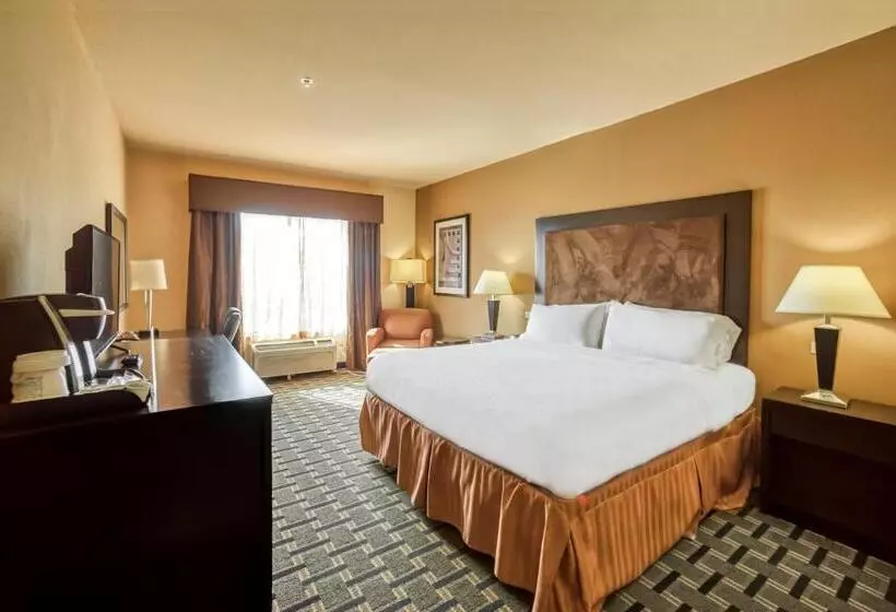 キングサイズベッドのスタンダードルーム, Holiday Inn Express Suites Beeville By Ihg