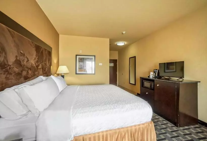 キングサイズベッドのスタンダードルーム, Holiday Inn Express Suites Beeville By Ihg