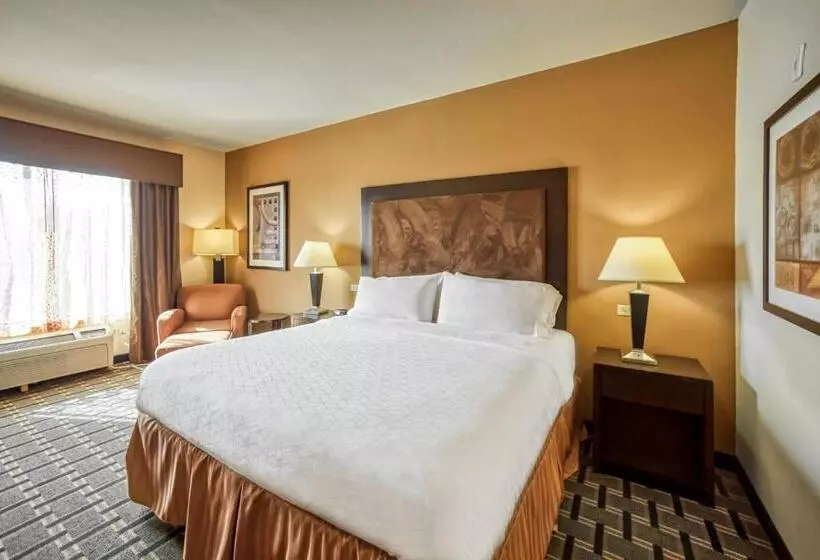 キングサイズベッドのスタンダードルーム, Holiday Inn Express Suites Beeville By Ihg