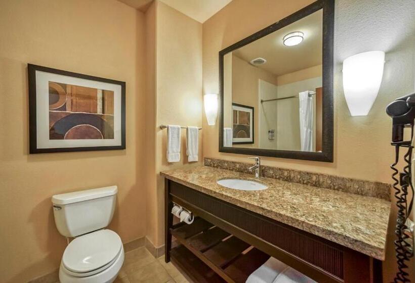 חדר סטנדרט עם מיטת קינג, Holiday Inn Express Suites Beeville By Ihg