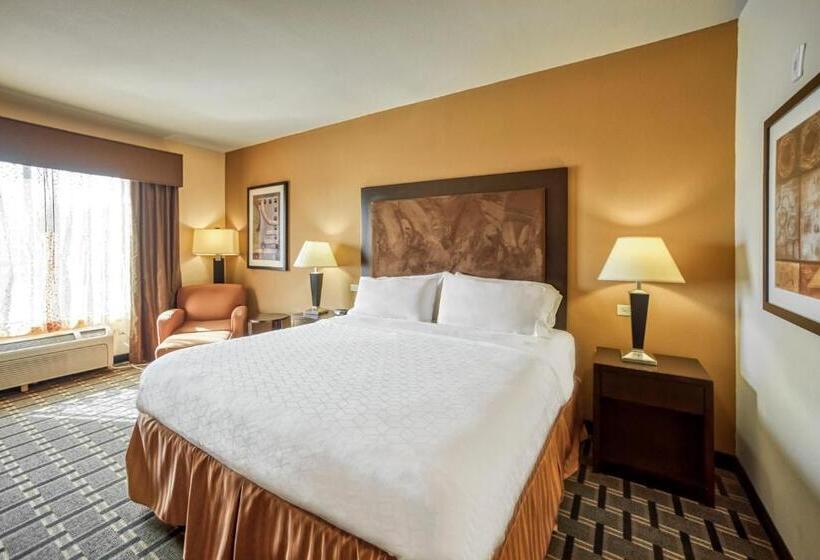 스탠다드 룸 킹사이즈 침대, Holiday Inn Express Suites Beeville By Ihg