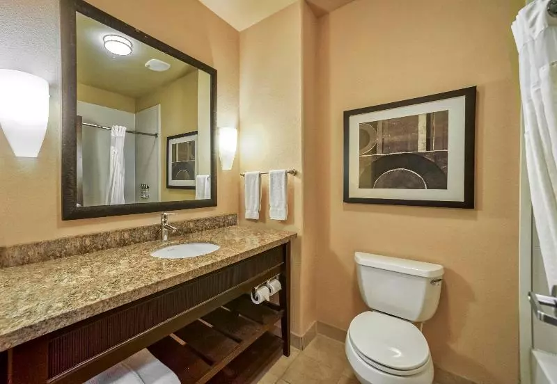 身障者適用キングサイズベッドルーム, Holiday Inn Express Suites Beeville By Ihg