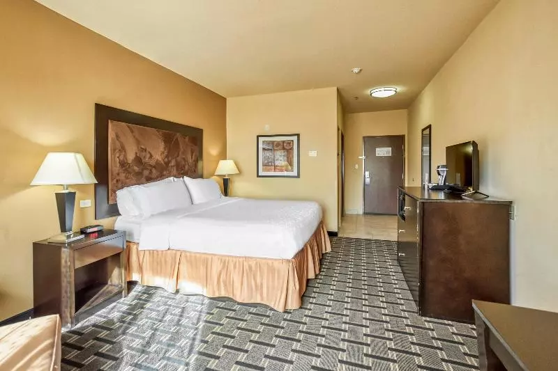 身障者適用キングサイズベッドルーム, Holiday Inn Express Suites Beeville By Ihg