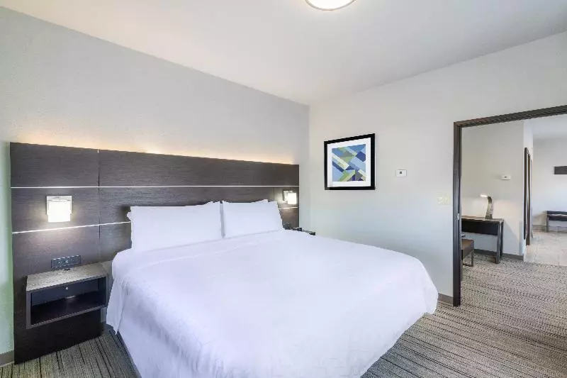 キングサイズベッドのデラックススイート, Holiday Inn Express Guymon, An Ihg