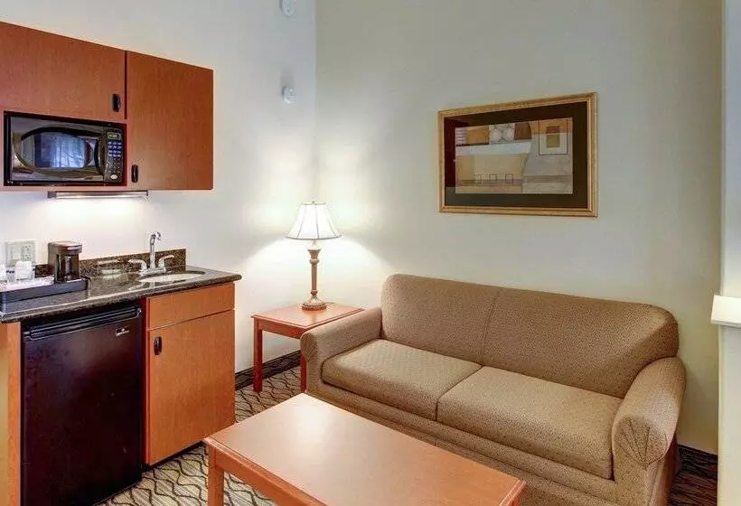 スタンダードルーム, Holiday Inn Express San Angelo, An Ihg