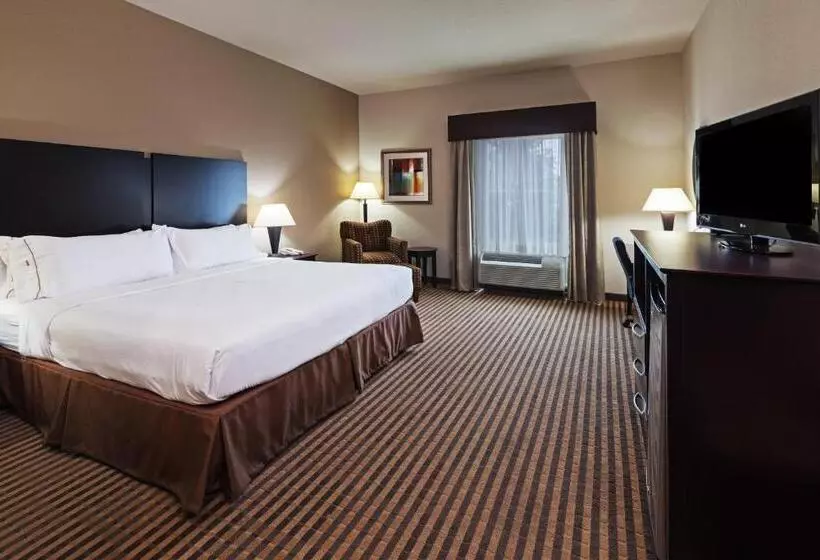 Standard-invahuone King-vuode, Holiday Inn Express & Suites Brady, An Ihg