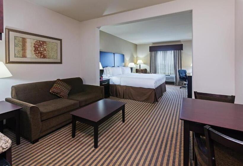 جناح سرير كينج, Holiday Inn Express & Suites Brady, An Ihg