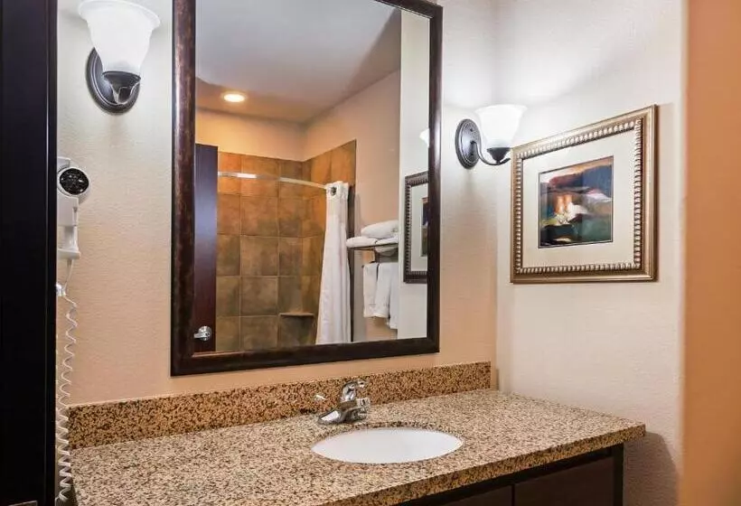 Standard-invahuone King-vuode, Holiday Inn Express & Suites Brady, An Ihg