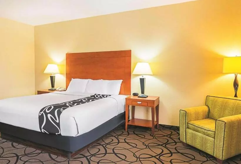 身障者適用キングサイズベッドルーム, La Quinta By Wyndham Ft. Worth   Forest Hill, Tx