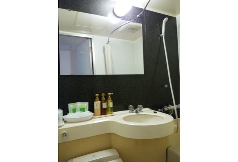 带双人床的基本房间, Ueno First City