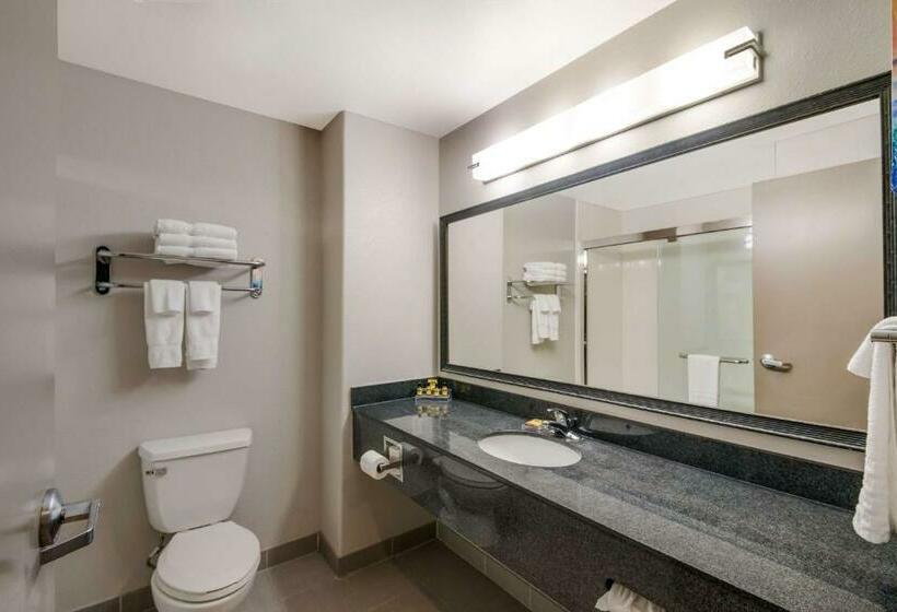 带大床的标准间, Best Western Plus Killeen/fort Cavazos Hotel & Suites