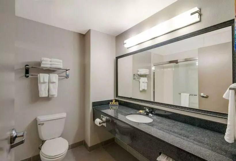 اتاق استاندارد با تخت بزرگ, Best Western Plus Killeen/fort Cavazos Hotel & Suites