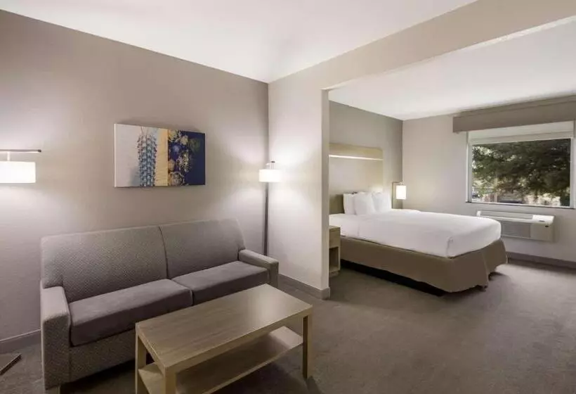 اتاق استاندارد با تخت بزرگ, Best Western Plus Killeen/fort Cavazos Hotel & Suites