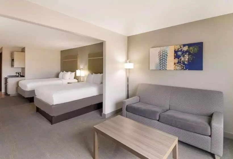 سوییت, Best Western Plus Killeen/fort Cavazos Hotel & Suites