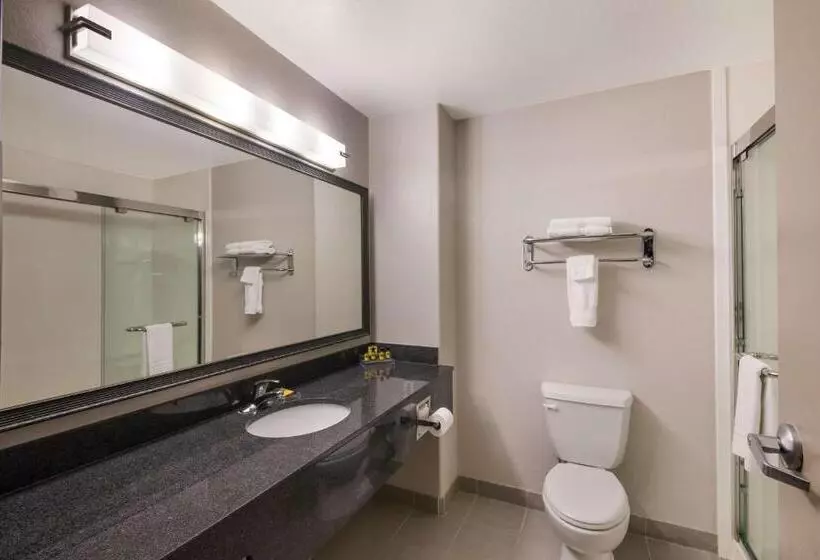سوئیت با تخت بزرگ, Best Western Plus Killeen/fort Cavazos Hotel & Suites