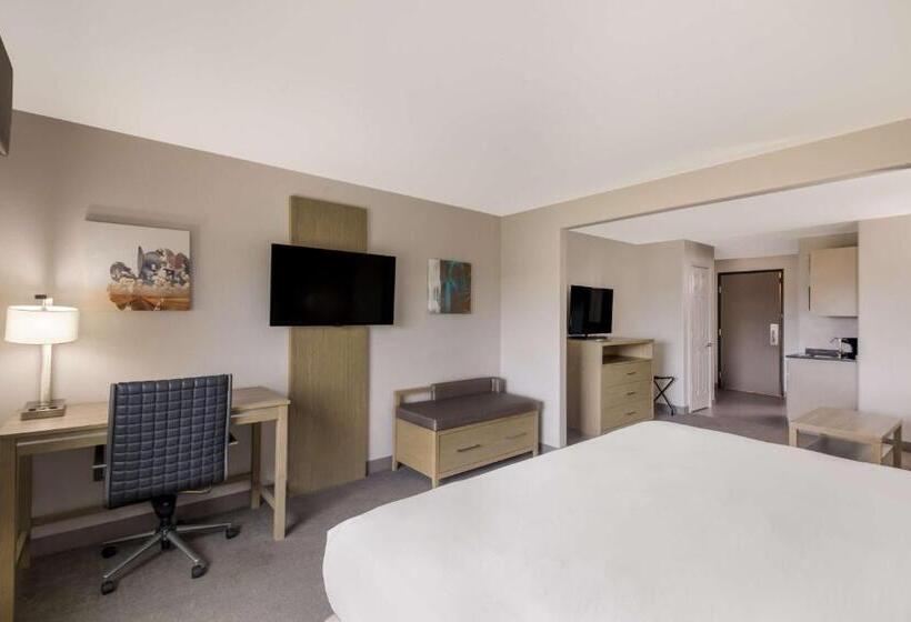 جناح سرير كينج, Best Western Plus Killeen/fort Cavazos Hotel & Suites