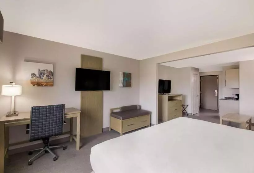 سوئیت با تخت بزرگ, Best Western Plus Killeen/fort Cavazos Hotel & Suites