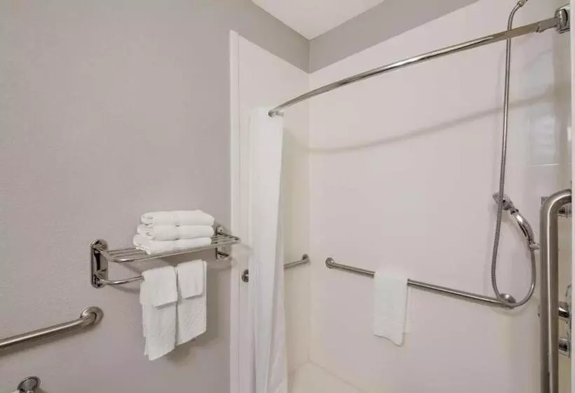 اتاق استاندارد برای معلولان, Best Western Plus Killeen/fort Cavazos Hotel & Suites