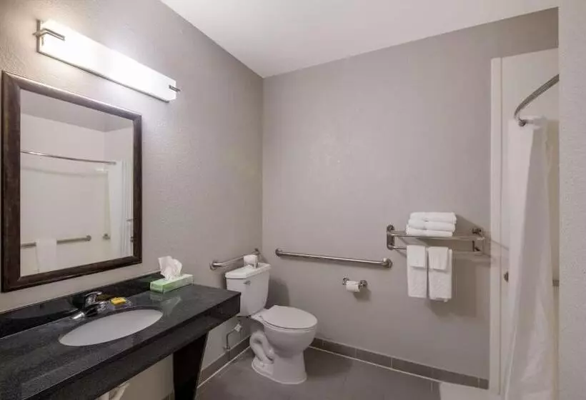 اتاق استاندارد برای معلولان, Best Western Plus Killeen/fort Cavazos Hotel & Suites
