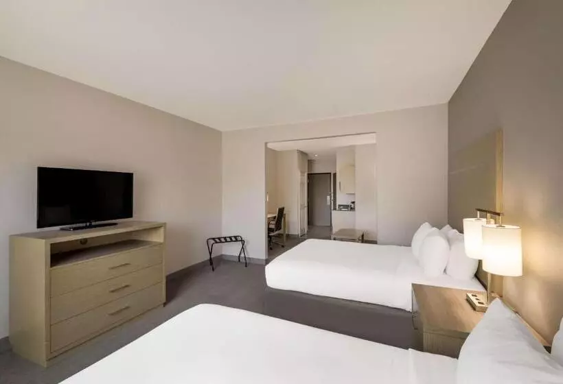 اتاق استاندارد برای معلولان, Best Western Plus Killeen/fort Cavazos Hotel & Suites