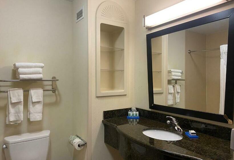 Президентский Люкс, Holiday Inn Express Hotel And Suites   Odessa, An Ihg