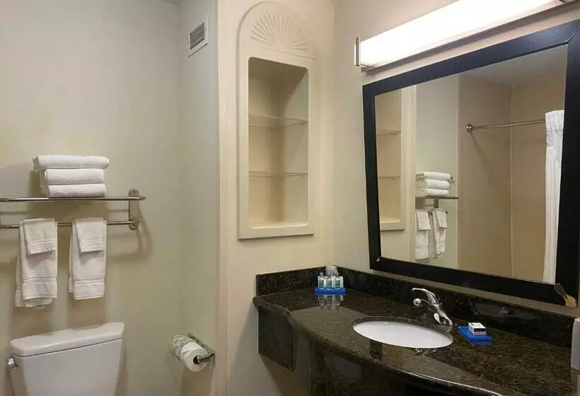 エクゼクティブスイート, Holiday Inn Express Hotel And Suites   Odessa, An Ihg
