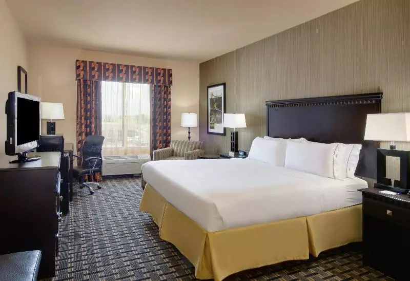 キングサイズベッドのスタンダードルーム, Holiday Inn Express Hotel & Suites Ennis, An Ihg