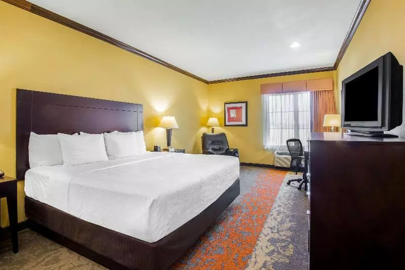身障者適用スタンダードルーム, Holiday Inn Express Hotel & Suites Ennis, An Ihg