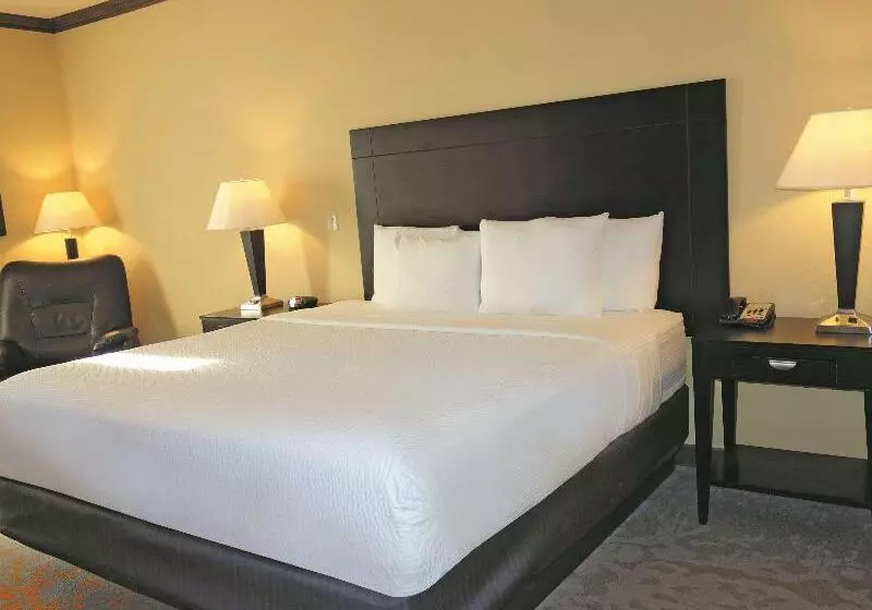 身障者適用スタンダードルーム, Holiday Inn Express Hotel & Suites Ennis, An Ihg