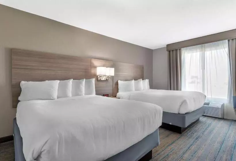 スタンダードルーム, Best Western Plus Stephenville Inn