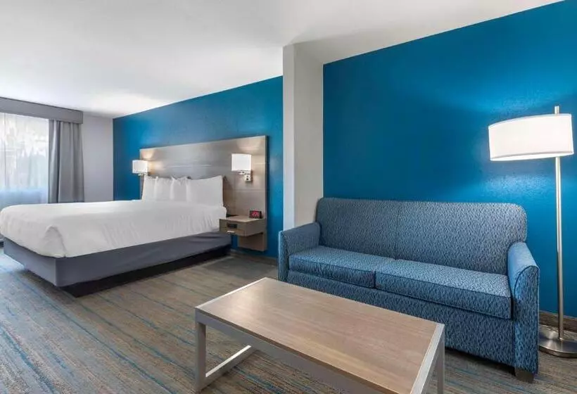 身障者適用スイートルーム, Best Western Plus Stephenville Inn
