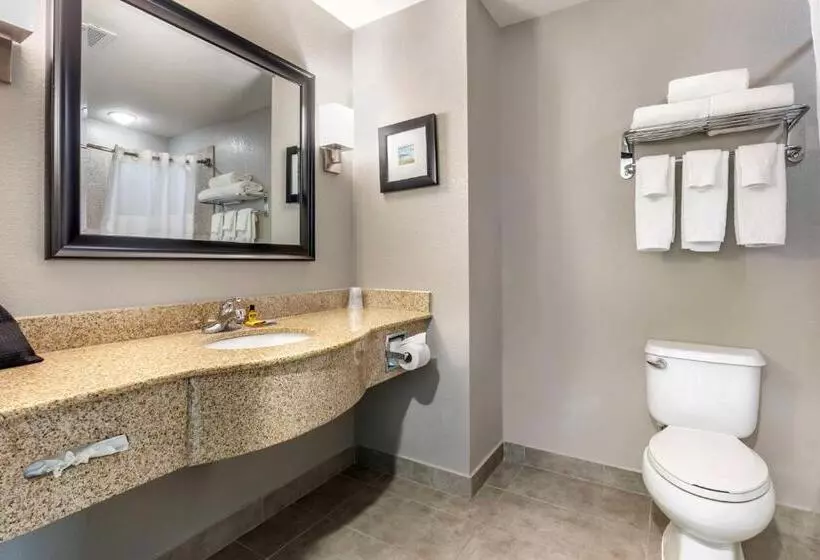 キングサイズベッドのスタンダードルーム, Best Western Plus Stephenville Inn